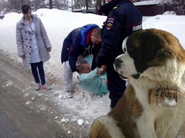 Почему зимой по нашим улицам не ходят сии чудесные собачки с бочонком коньяка? 
Надо бы вопрос поднять.