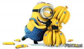 Шерсть этой собаки так сильно свалялась, что спасатели спутали ее с овцой