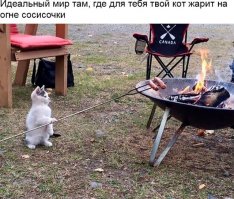 Картинки с надписями