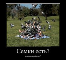 Наглость - второе счастье