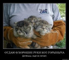 Немного интересного из сети