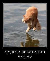Немного интересного из сети