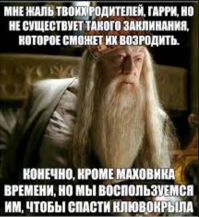 Чтобы сделать предложение, парень воссоздал платье Белль из «Красавицы и Чудовища»