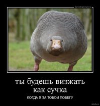 Настоящий защитник! Верный пёс оттащил агрессивного гуся от своего хозяина