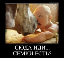 Пошли выйдем, косой: cуровую заячью драку сняли на видео