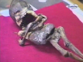 Кыштымский карлик тоже его работа?