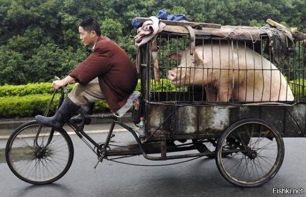 Всегда есть выбор.
Я не про свинью, а про велосипед.