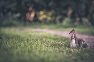 На этом фото поленились видимо)
