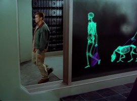 Когда шалость безвредна и смешна: «раздевающий» сканер шокировал этих женщин 