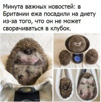 Картинки с надписями