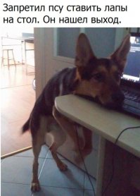 Картинки с надписями