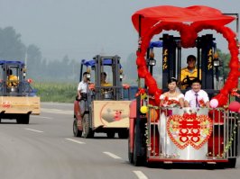 Безумные свадебные машины