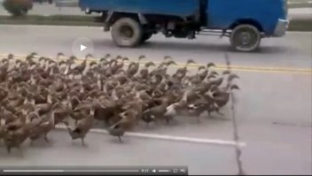 А кто лидер?
Фотофиниш не помогает