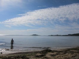 Фотоподборка за 18.01.2017