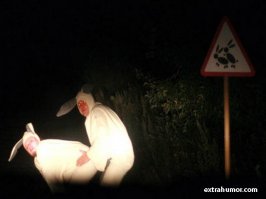 зайцы света вообще перестали боятся..