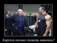 Большой и добрый великан: перетягивание каната с трактором и 36 яиц на завтрак