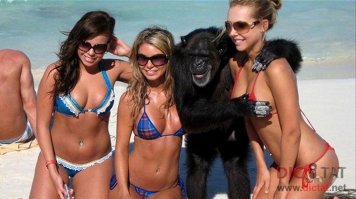 Второе счастье ))