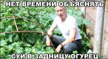 напомнило