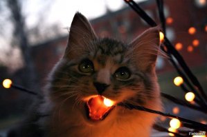 Пришло время...