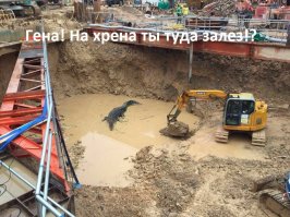 Разные картинки из сети