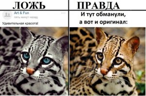 Звезда инстаграма рассказала всю правду про удачные снимки