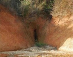 Сумасшедшие фотоиллюзии, или как быстро оказаться в дурдоме