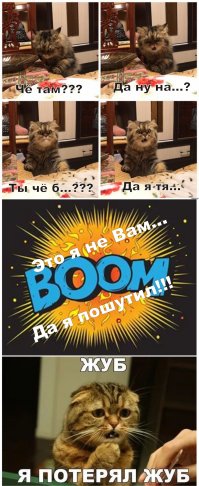 Разные картинки из сети