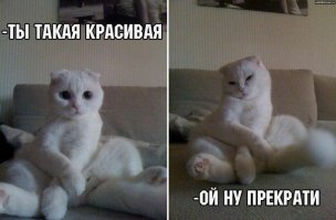 Картинки со смешными подписями