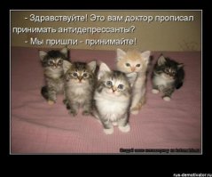 Картинки со смешными подписями