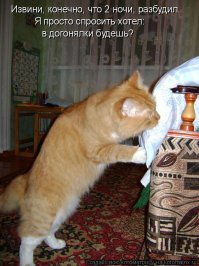 Картинки со смешными подписями