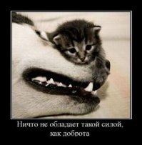 Маловато, но очень неплохо! Котяра вконтакте бесподобен и малыш на последнем фото))) Вот тоже такого типа