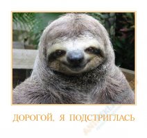 Детишки, которые решили постричься самостоятельно... и сильно пожалели об этом!