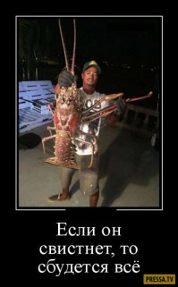 35 позитивных картинок, которые скрасят ваш рабочий день