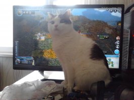 Мой в цивилизацию помогает играть.. -"Надо наращивать рыбный промысел" :)