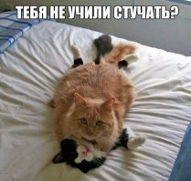 Стучать нас учит ФСБ!А в комнату нужно стучаться...:)