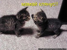 Как судьба обламывает понтовщиков