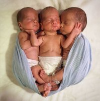 Прости Господи, но при взгляде на средненького сразу в голове возникла фраза "Вам всего хорошего, Вы держитесь там"... ну прям одно лицо)))