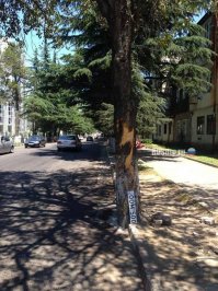 Vossen тупое ты создание! Ты хоть читаешь прежде чем постить текст? "с камеры на головы" - что за хрень? И да, одна мартышка довыёживалась дрифтом по городу, не жалко. Рано или поздно эту ждёт такая же участь. Главное, что бы об столб или как в случае с первой обезьяной об дерево! Что бы на забрали с собой невинных жертв. Город не место для выипонов! Считаешь себя дрифтером? Вэлком на трек и там жги резину сколько влезет. А покатушки в городе ни к чему хорошему не приводят. 
Нашли, млять, кумиров...