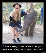 Слон — очень аккуратный зверь, ты слухам про него не верь