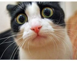 Осторожно, здесь аномальная зона: места в России, где происходит какая-то чертовщина