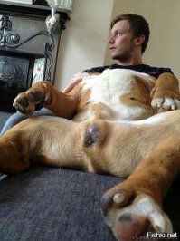 Сумасшедшие фотоиллюзии, или как быстро оказаться в дурдоме