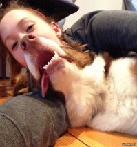 Сумасшедшие фотоиллюзии, или как быстро оказаться в дурдоме