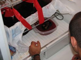 ЭТО вааще никому не понять