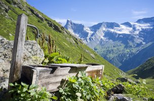 Я тоже пью воду из под крана, наш регион этим и славиться, вроде первое место по России