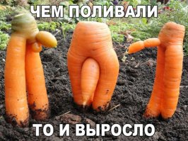 19 фотографий продуктов, которые удивят вас