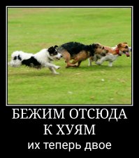 Обама прослезился от своей собственной прощальной речи, когда благодарил свою семью за поддержку