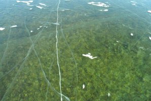 Вот хорошо видно прозрачность и чистоту Байкала...