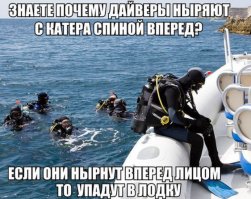 Картинки со смешными подписями