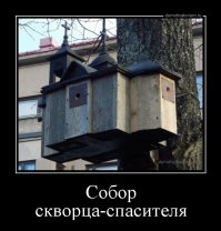 У птиц все как у людей: увидев такие скворечники, я почему-то захотел стать птицей