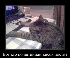 Продборка разных картинок из сети